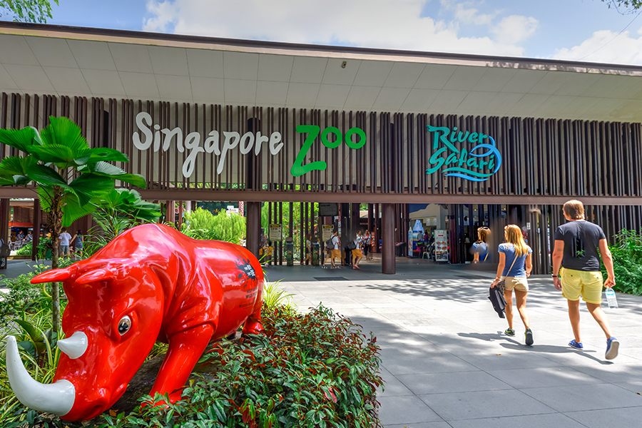 have fun at the zoo as one of the most popular attractions in singapore and malaysia