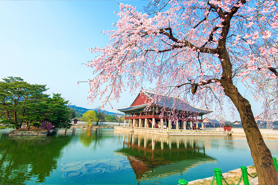 tiket guide korea selatan
