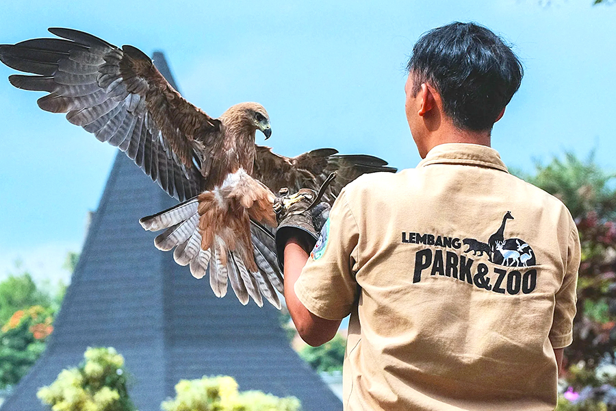 Zoo is definitely one of family holiday destination you should visit this Eid al-Fitr