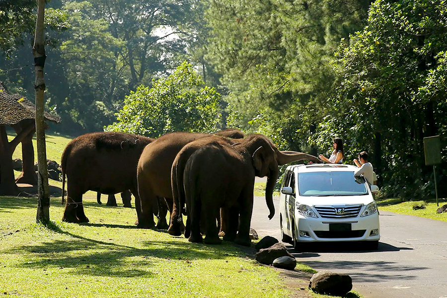 things to do east java