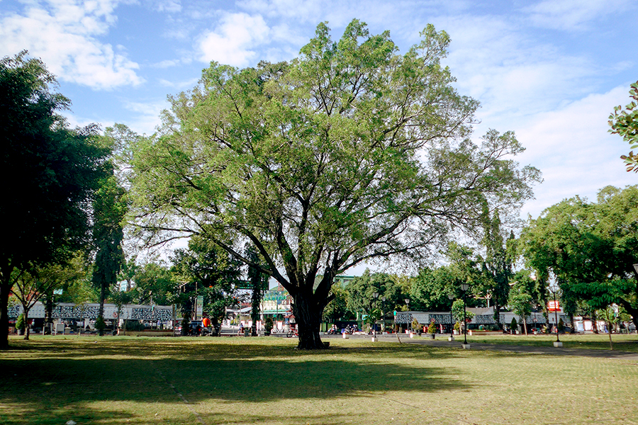 Alun-Alun Pemalang