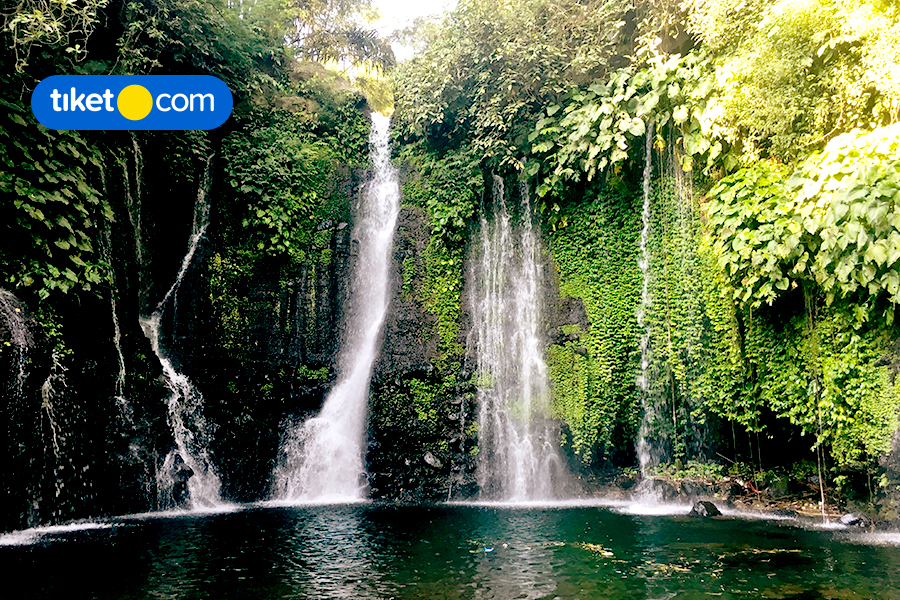 10 Tempat Wisata di Pemalang, Banyak Aktivitas Seru yang Bisa Dicoba!