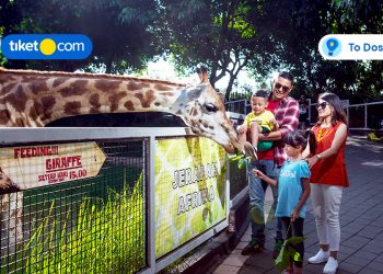 things to do east java