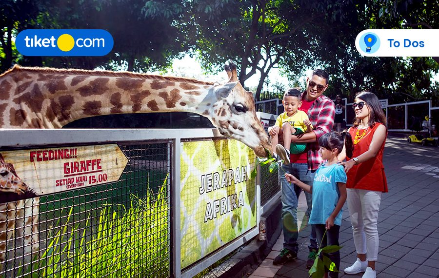 things to do east java