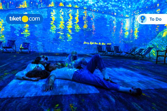 pengalaman seru di van gogh immersive experience