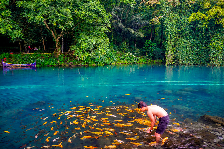 wisata di majalengka - Situ Cipanten
