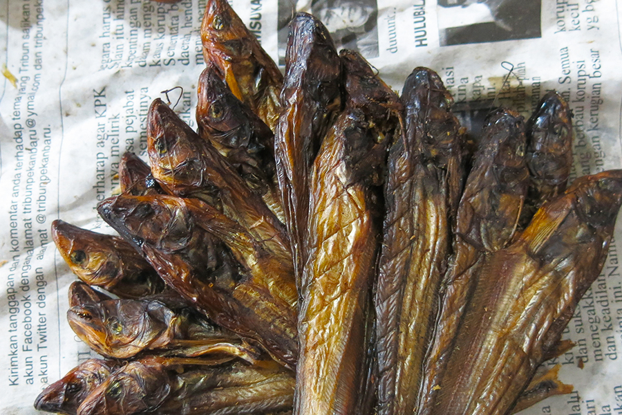 oleh oleh khas pekanbaru - Salai Ikan Patin