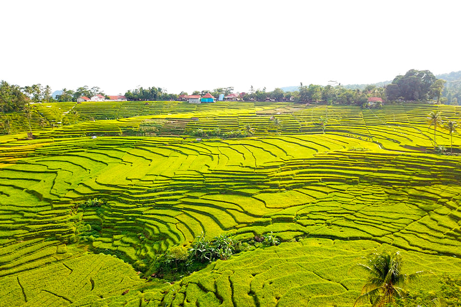 wisata di majalengka - Ciboer Pass