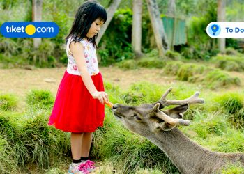 10 Tempat Wisata Anak di Bandung untuk Destinasi Liburan Sekolah!