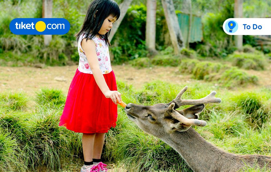 10 Tempat Wisata Anak di Bandung untuk Destinasi Liburan Sekolah!