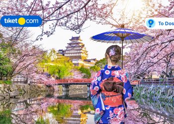 Discover the Best of Osaka, Kyoto, and Hiroshima with JR West Pass!