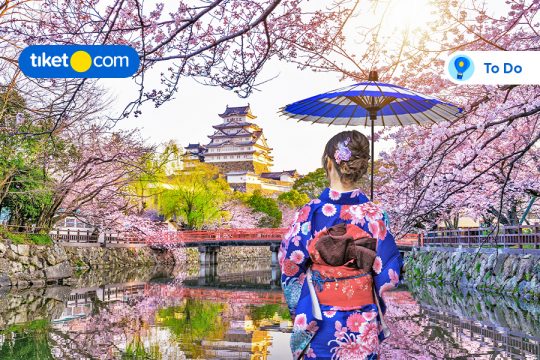 wisata di jepang dengan jr west pass