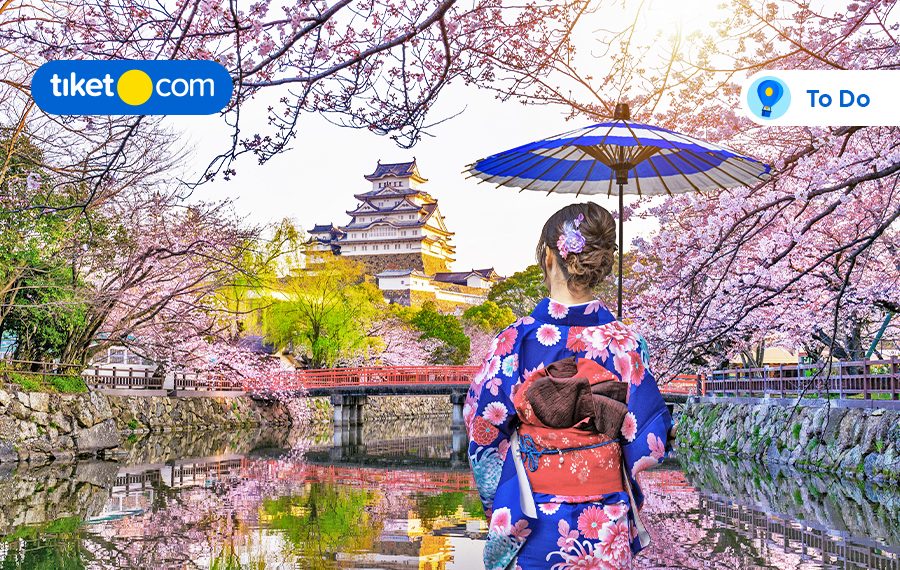 wisata di jepang dengan jr west pass