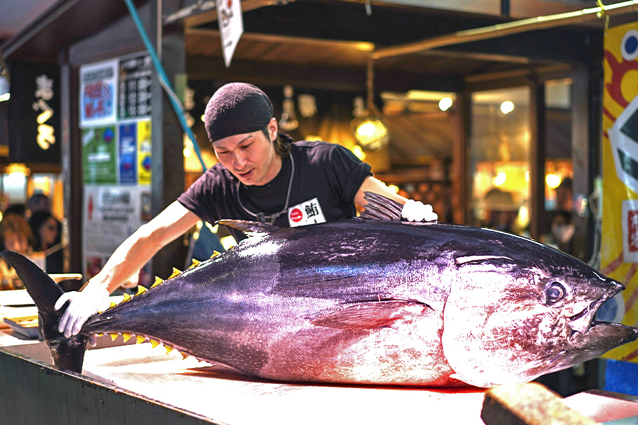 berkunjung ke kuroshio market lebih mudah dengan jr west pass