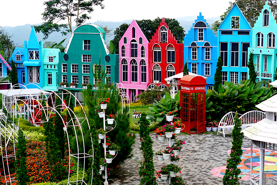 taman bunga celosia