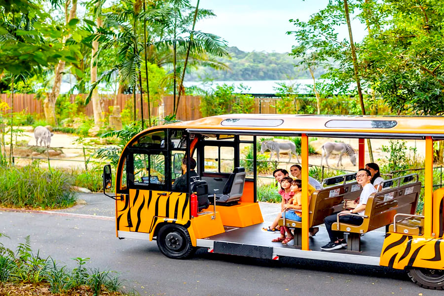 adventurous things to do in Singapore with family