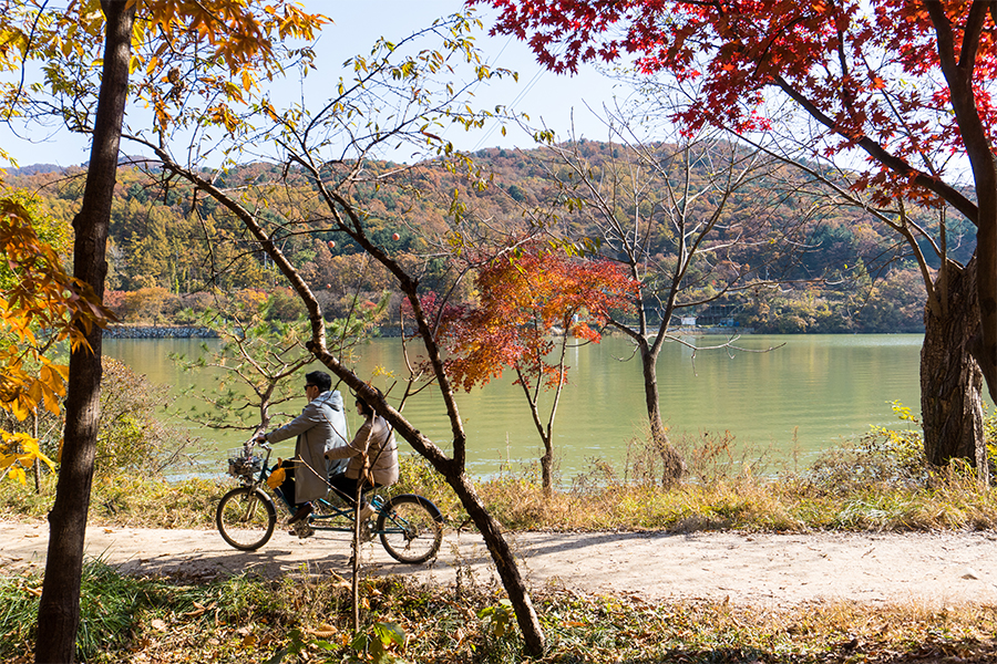 Rental sepeda untuk keliling Nami Island, Korea Selatan.