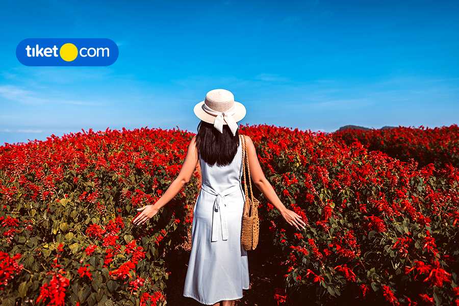Taman Bunga Celosia Semarang, Spot Favorit Buat Foto Estetik!