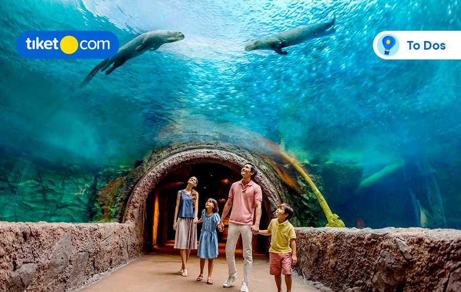 best things to do in singapore with family