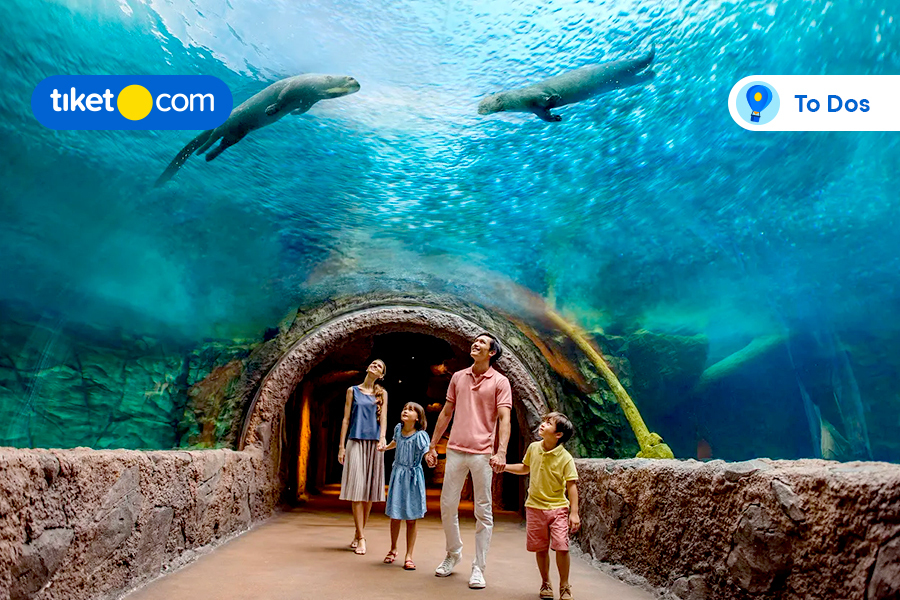 Let’s Explore Top 8 Things to Do with Kids & Family in Singapore!