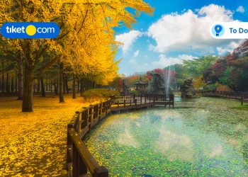 Panduan Liburan ke Nami Island, Destinasi Wisata Populer di Korea Selatan!