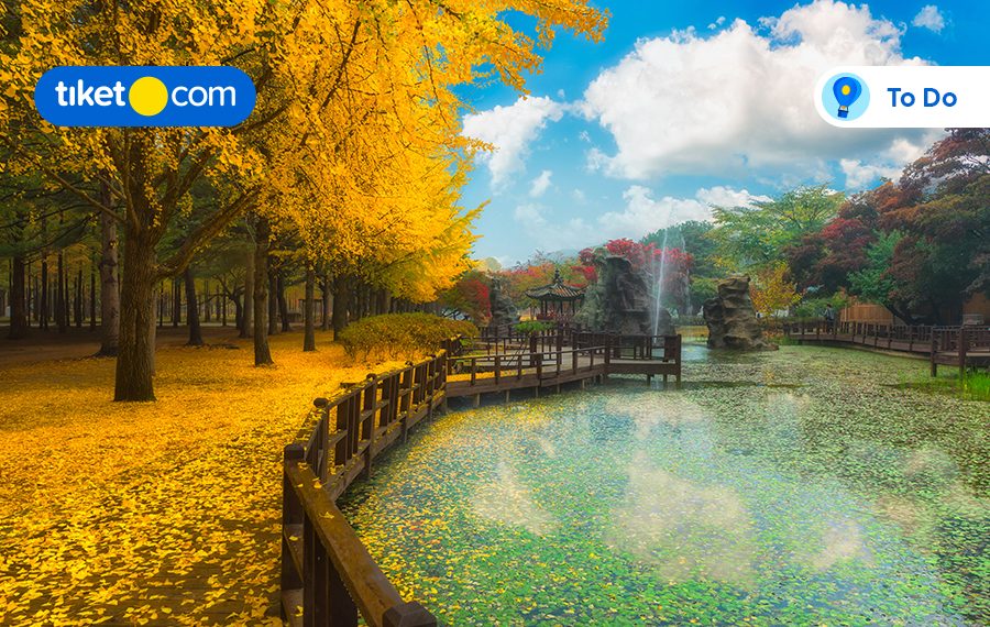 Panduan Liburan ke Nami Island, Destinasi Wisata Populer di Korea Selatan!