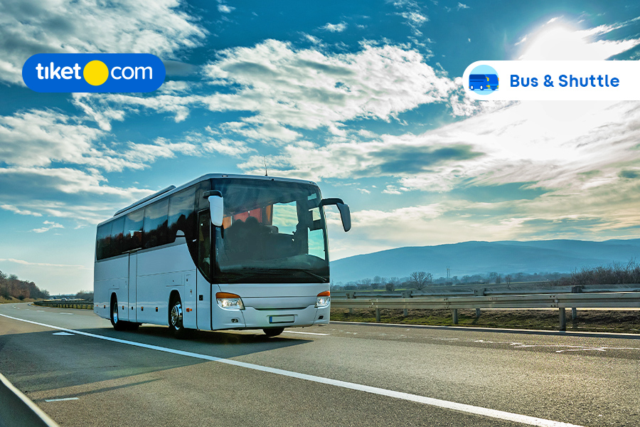You Need to Know When Traveling by Bus: The Class Classification and Facilities
