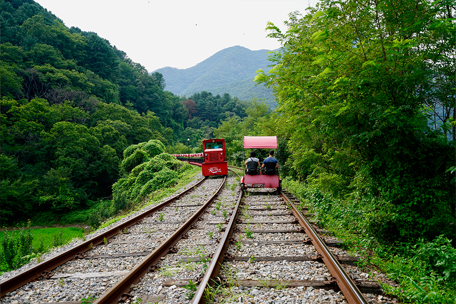 Naik Gangchon Rail Park yang dekat dari Nami Island, Korea Selatan