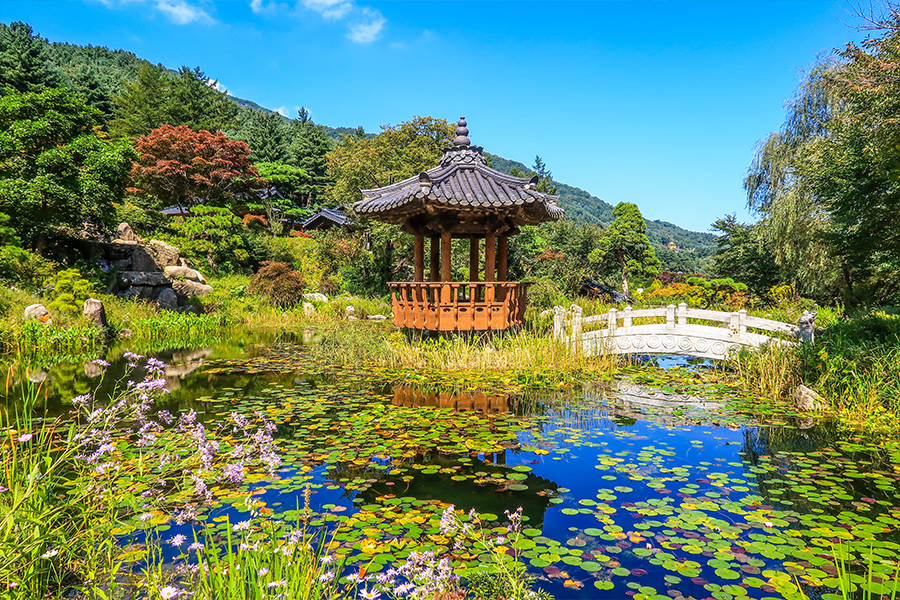 Garden of Morning Calm yang bisa kamu kunjungi tidak jauh dari Nami Island, Korea Selatan.