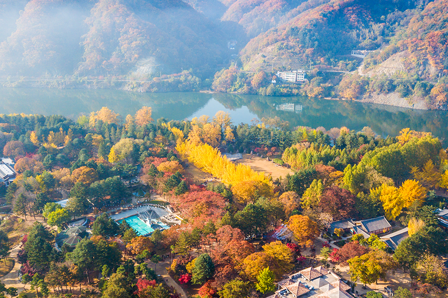 Pemandangan di Nami Island, Korea Selatan.