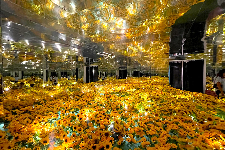 instalasi sunflowers di van gogh alive jakarta
