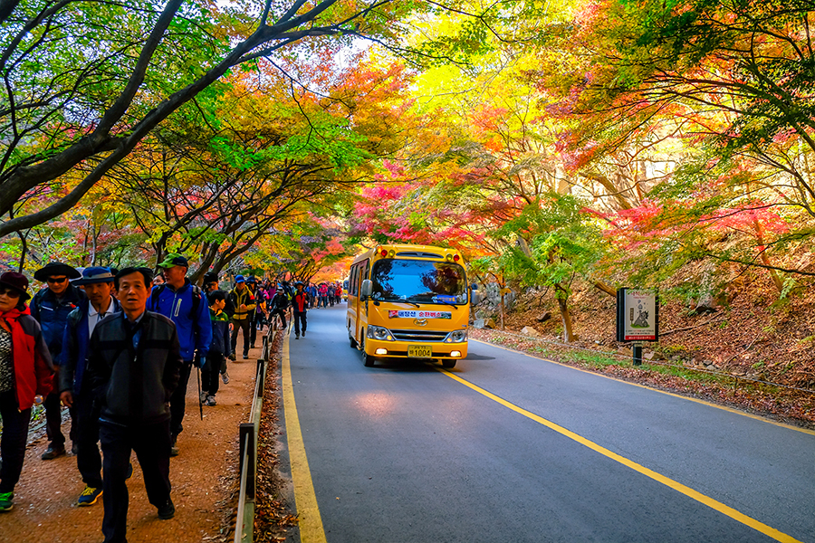 a day trip to nami island by shuttle bus