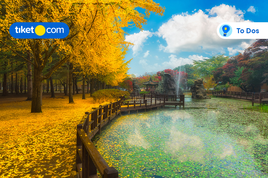 A Day Trip to Nami Island: Tour Recommendation & Best Things to Do