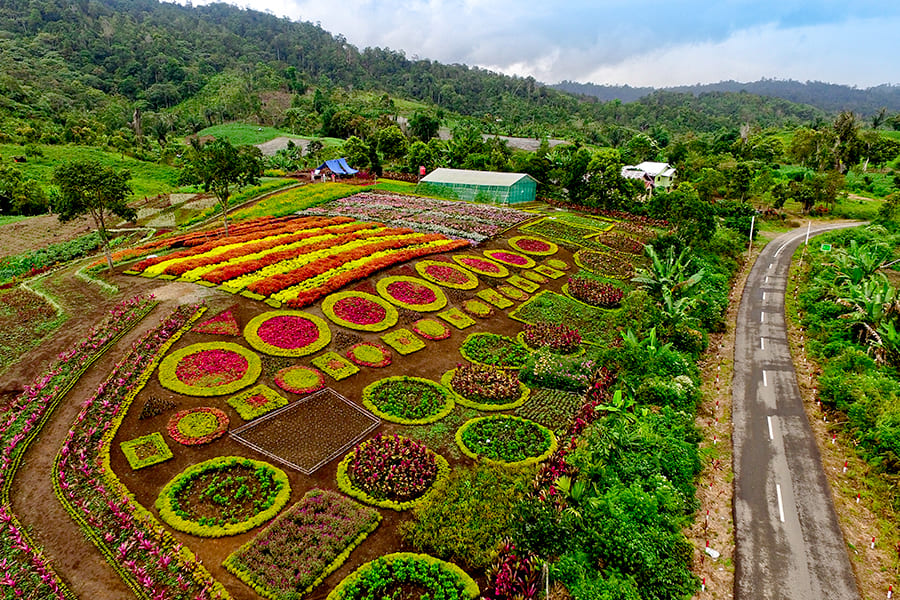 tempat wisata di jambi - Hesti Garden Merangin