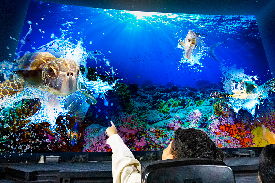 giant aquarium one of the attractions in ancol