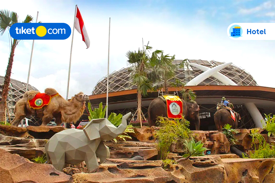 Intip Hotel-Hotel dekat Taman Safari Indonesia, Tamasya Lebih Mudah!