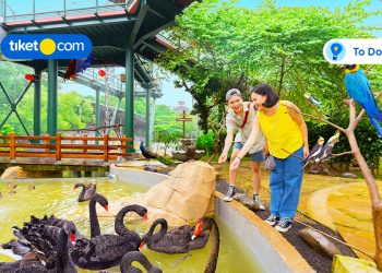 Liburan di Ancol Bisa Ngapain Aja? Yuk, Eksplor Aktivitas Serunya!