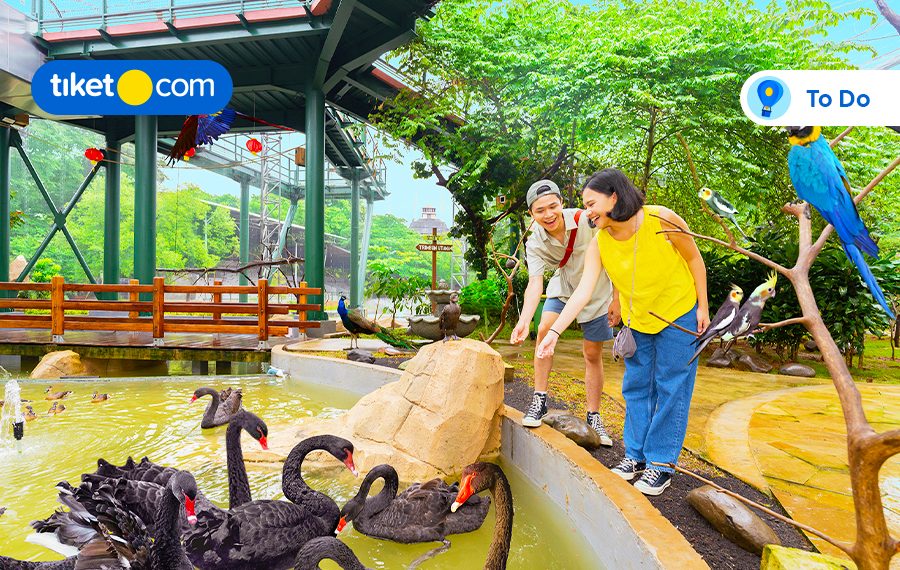 Liburan di Ancol Bisa Ngapain Aja? Yuk, Eksplor Aktivitas Serunya!
