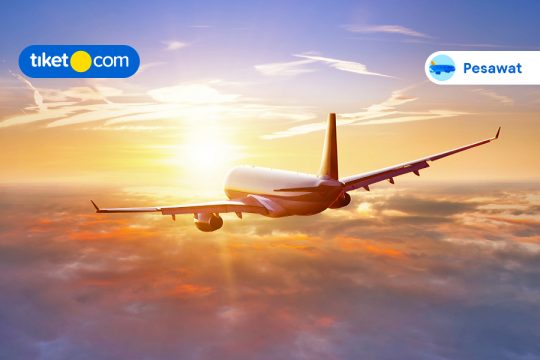 Cara Web Check-In Lion Air