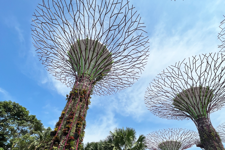 Liburan ke Singapore ala Raisa - Gardens by the Bay