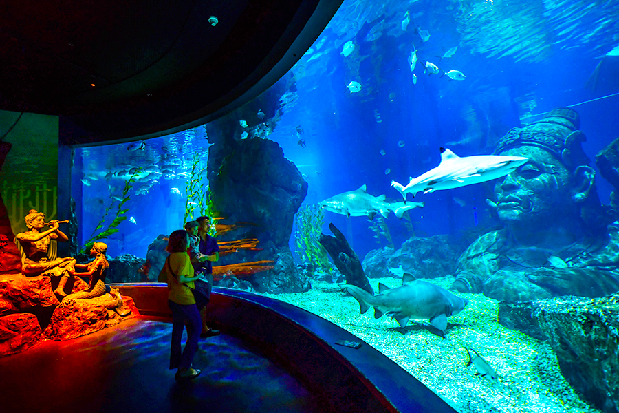 Harga Gledek Atraksi Populer - SEA LIFE Bangkok & Madame Tussauds Bangkok