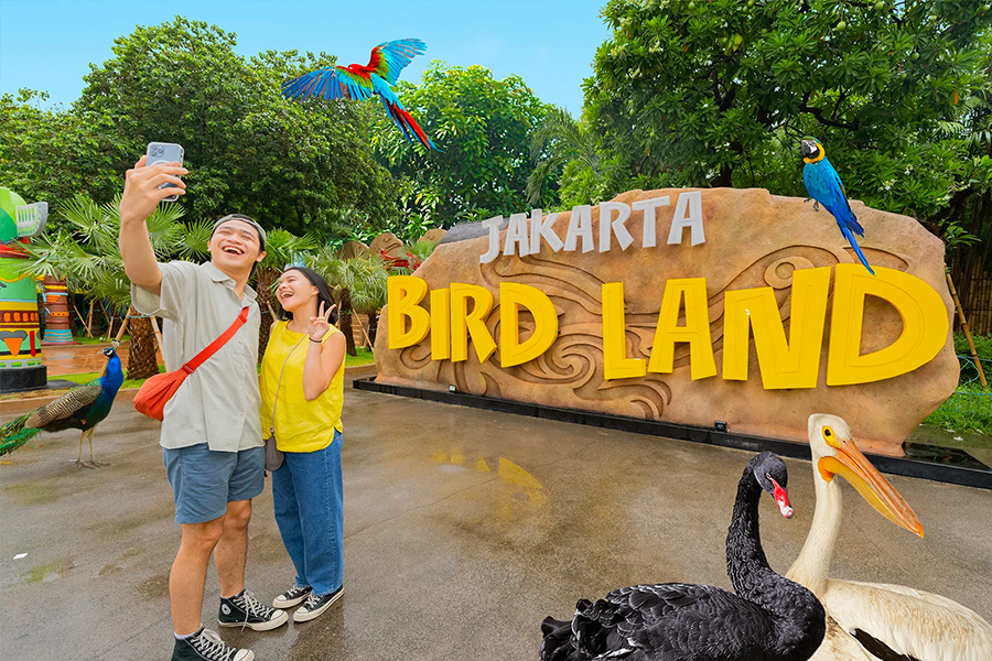 Atraksi di Ancol - Jakarta Bird Land