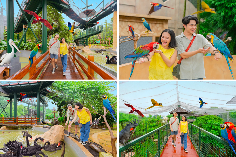 Atraksi di Ancol - Jakarta Bird Land