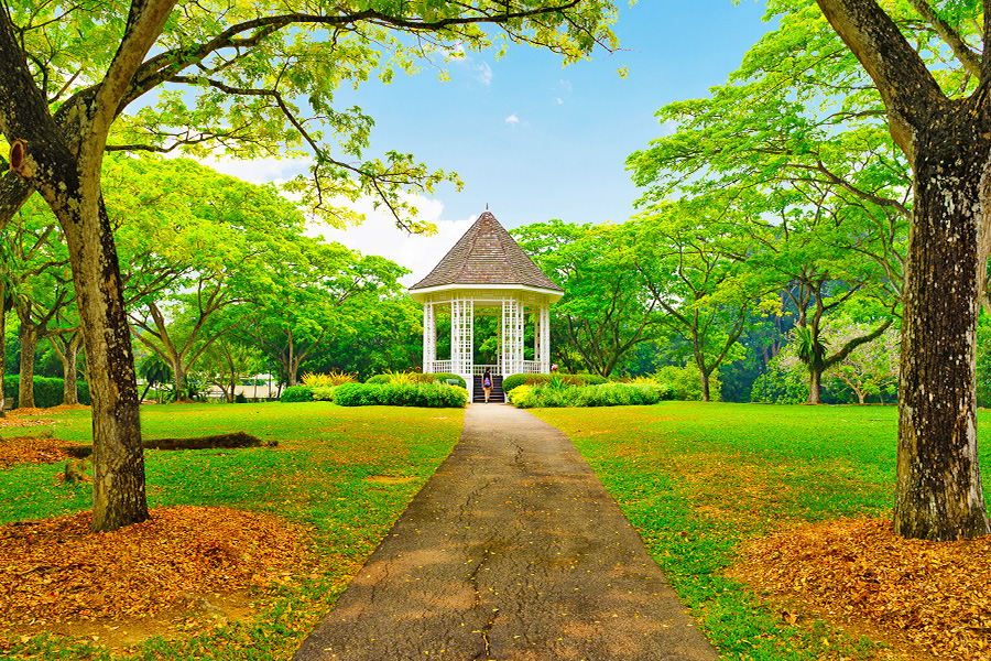 Solo Trip Singapore - Singapore Botanic Gardens