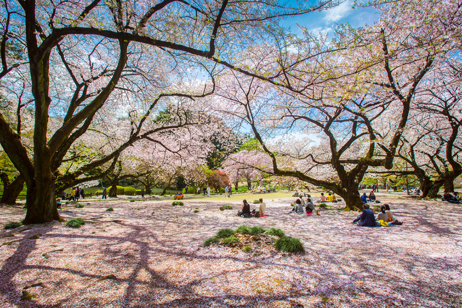 Best Areas to Stay in Tokyo - Ueno