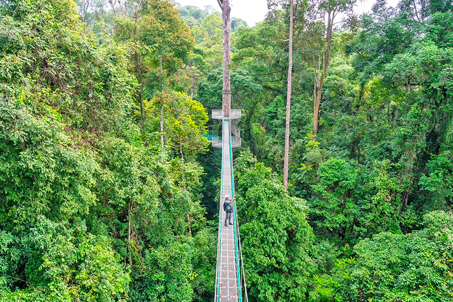 Tempat Wisata di Sabah - Danum Valley Conservation Area