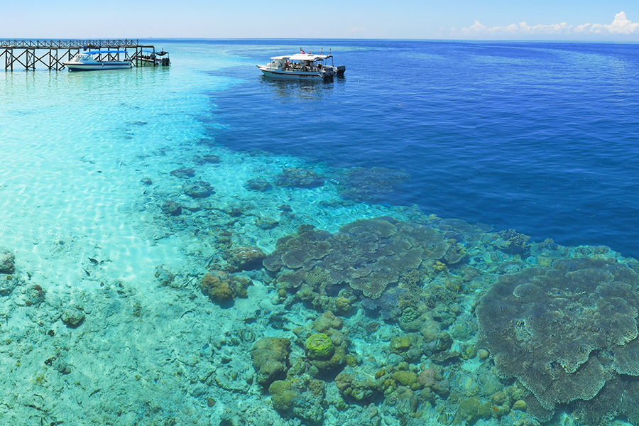 Tempat Wisata di Sabah - Pulau Sipadan