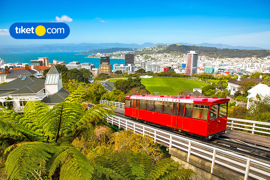 Getting Around New Zealand? It’s Easier Than You Think!
