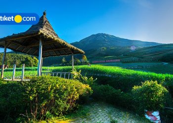 28 Tourist Attractions in Magelang That Will Make You Enjoy Exploring All Day