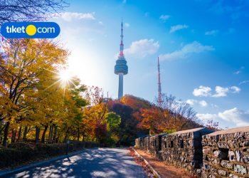 Going on a Trip to South Korea? Here are the Top 10 Tourist Spots You Must Visit in Seoul!